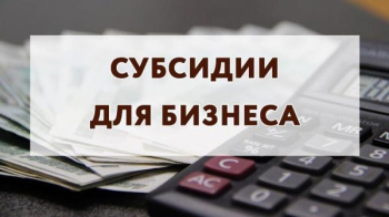 Единая субсидия субъектам туристской индустрии